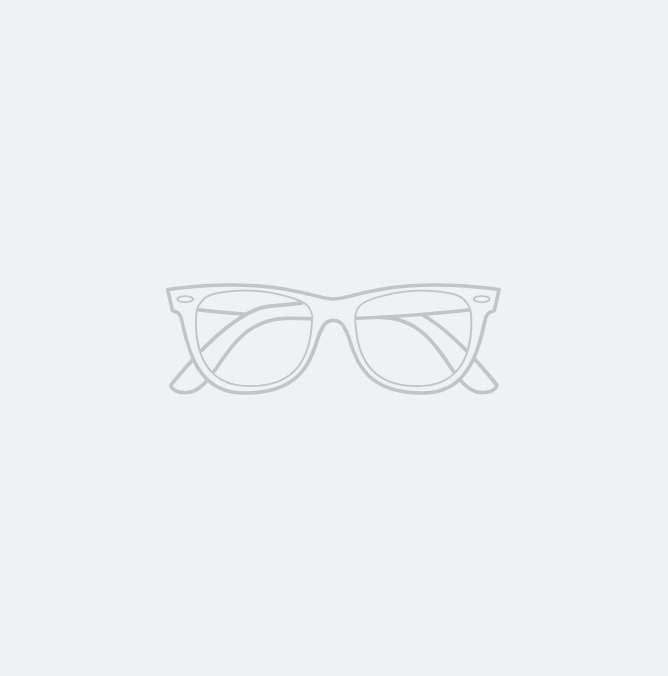 New Titanium Sunglasses